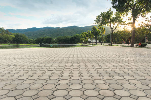 Best Custom Driveway Pavers  in Novato, CA